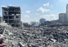 Arab and Islamic Nations Join Trump’s Gaza ‘Board of Peace’ Initiative